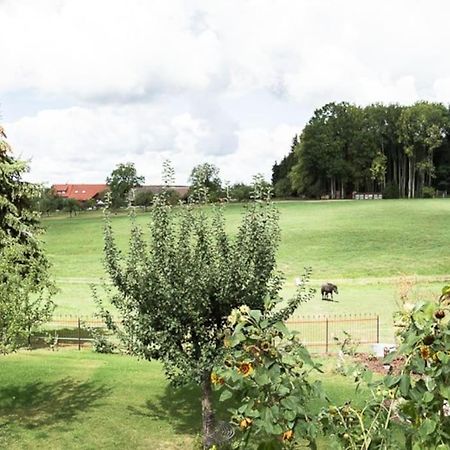 Naturidyl Schneckenbuch Weißensberg エクステリア 写真