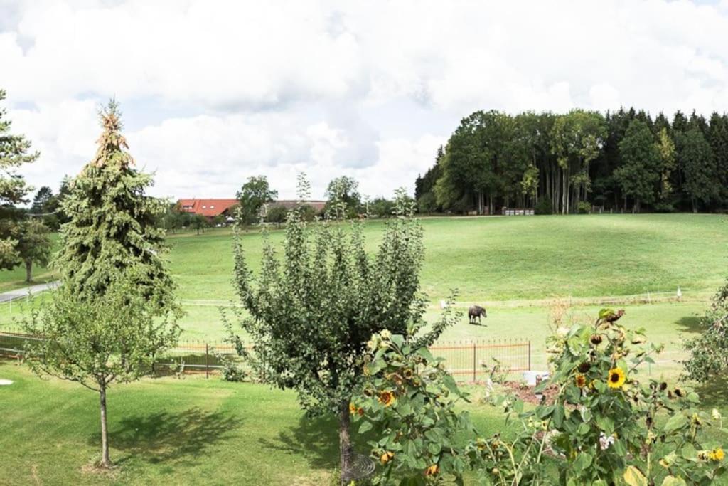 Naturidyl Schneckenbuch Weißensberg エクステリア 写真